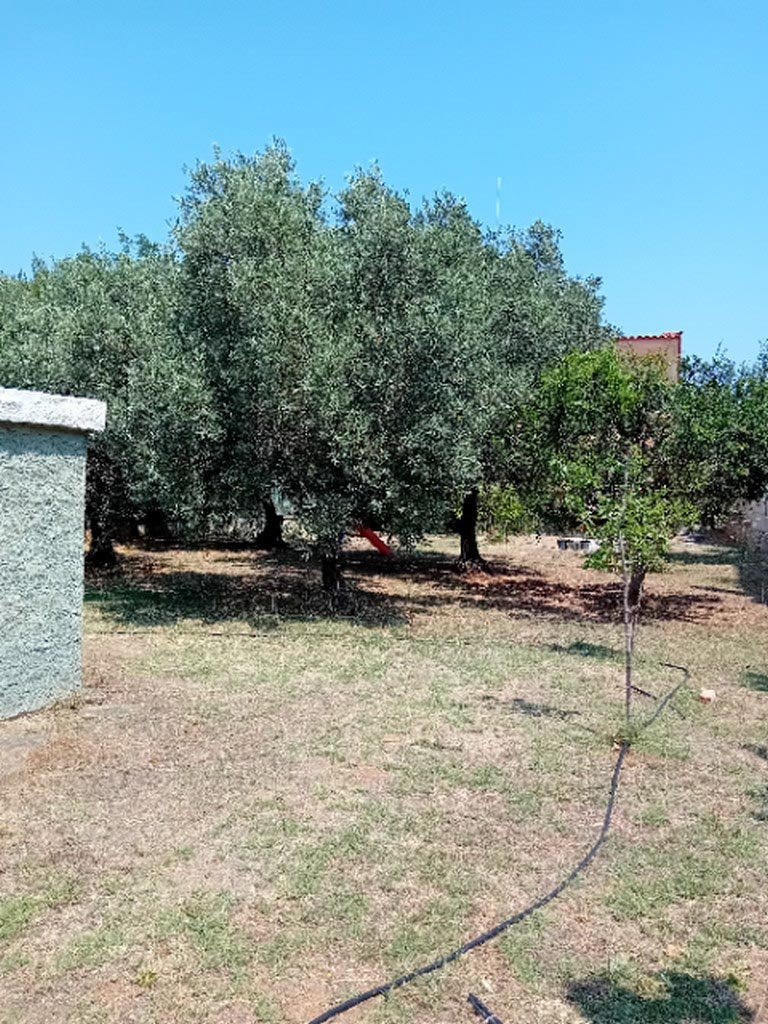 1398-17 Μονοκατοικία 140τμ Δικαστικοί Υπάλληλοι
