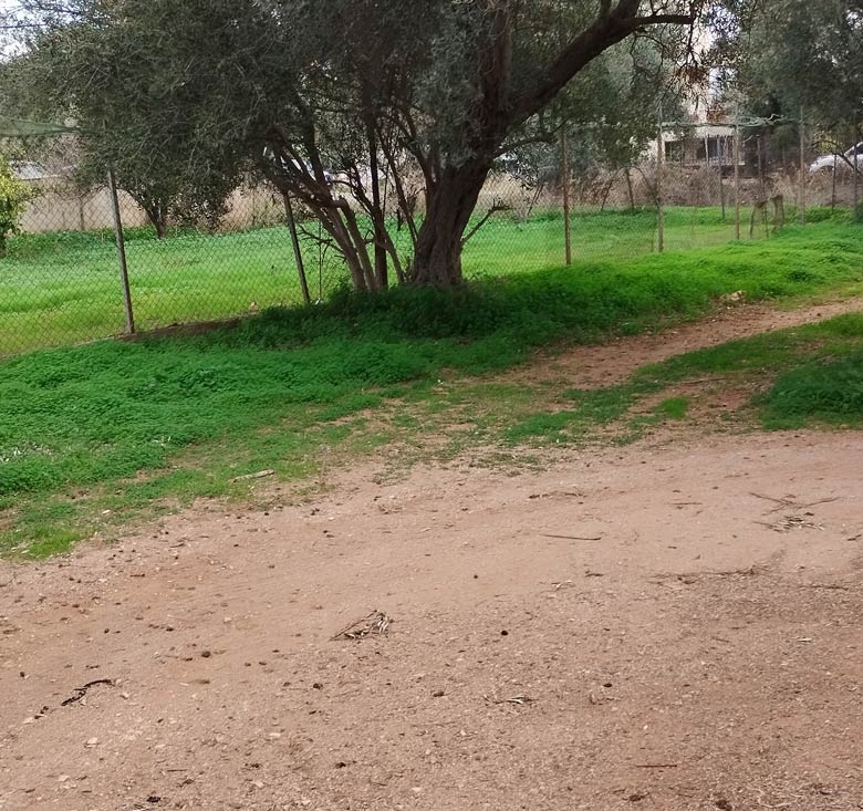 Οικόπεδο 1650τμ Νέα Μάκρη