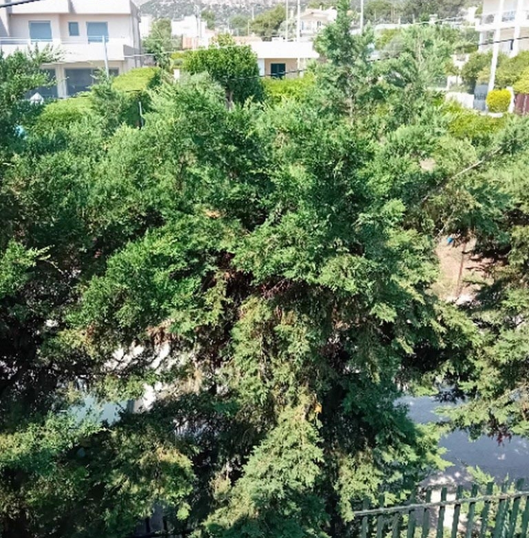 Μονοκατοικία 113τμ Νέα Μάκρη