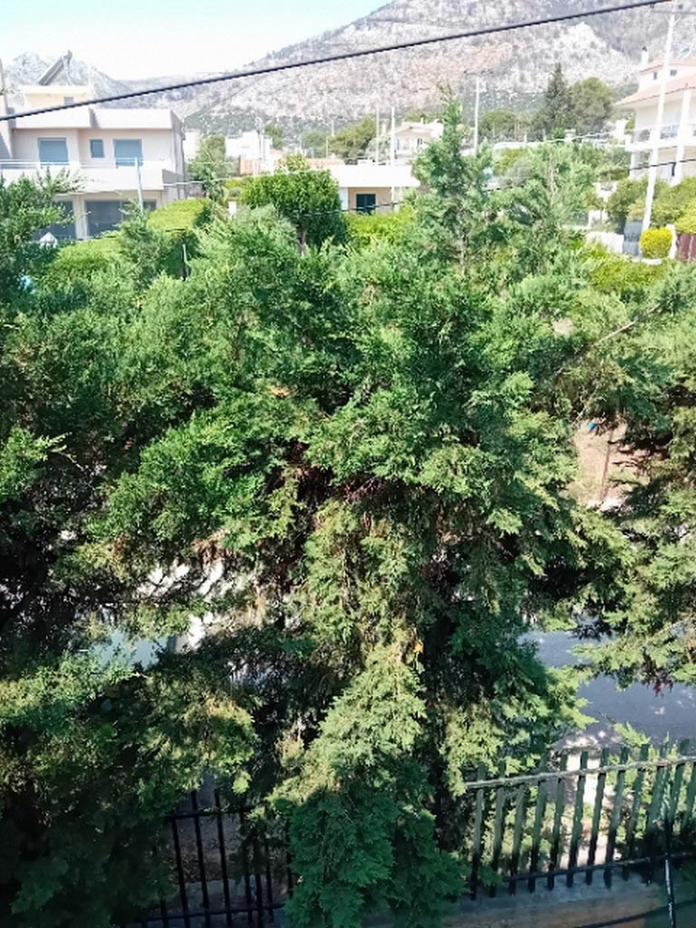 1614-111114 Μονοκατοικία 113τμ Νέα Μάκρη