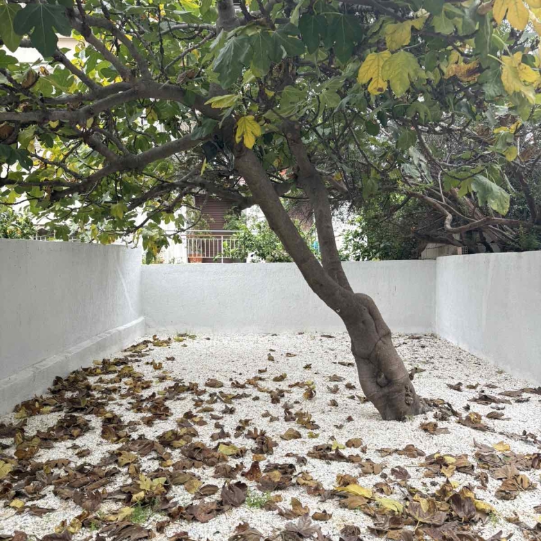 Maisonette 140sqm Nea Makri