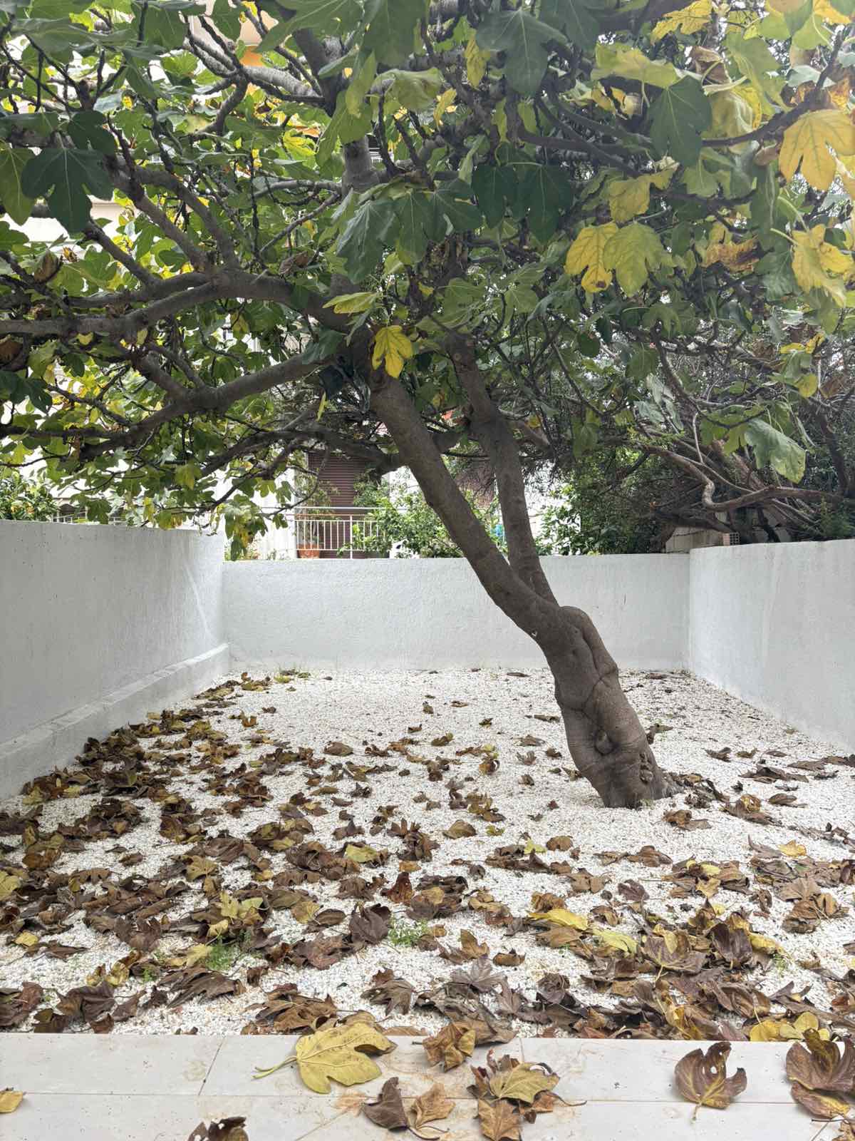Maisonette 140sqm Nea Makri