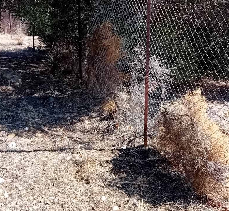 Οικόπεδο 574 τ.μ. Καλλιτεχνούπολη