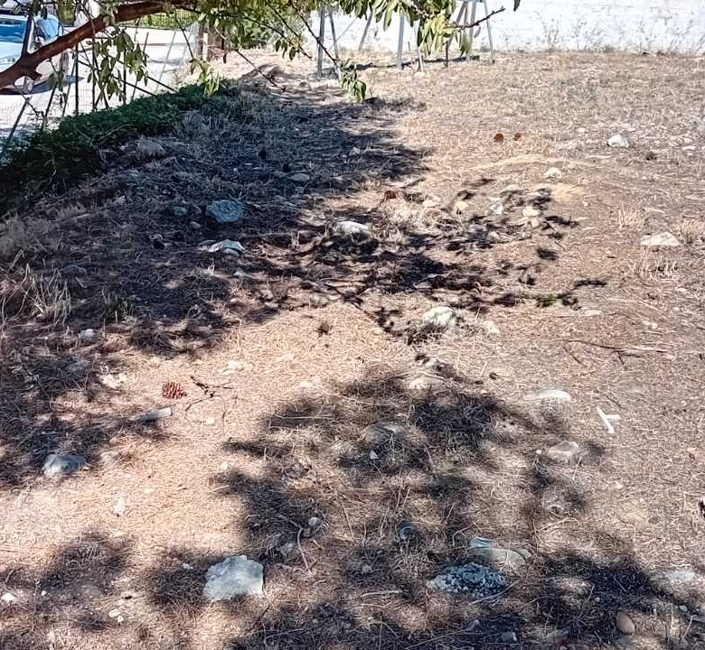 Οικόπεδο 574 τ.μ. Καλλιτεχνούπολη