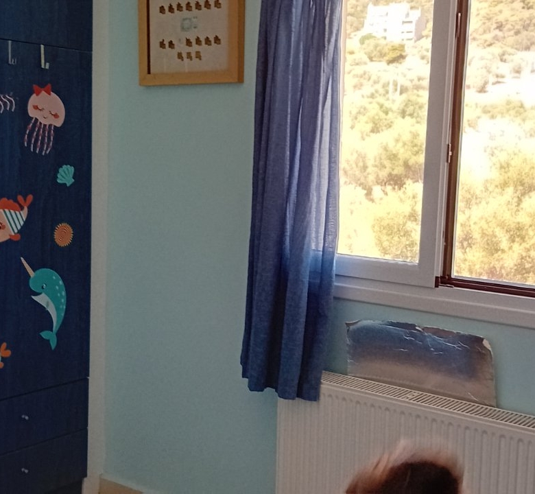 Μονοκατοικια 285 τ.μ., Νέα Μάκρη