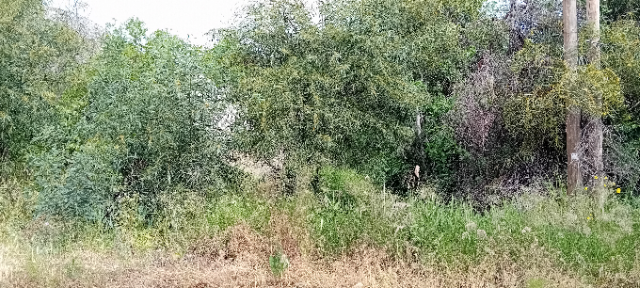 Οικόπεδο 720 τ.μ.,  Δικαστικοί Υπάλληλοι, Μαραθώνας