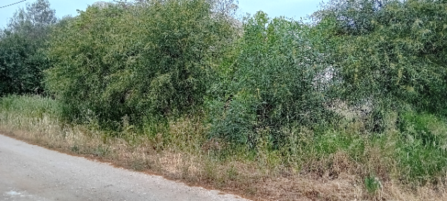 Οικόπεδο 720 τ.μ.,  Δικαστικοί Υπάλληλοι, Μαραθώνας