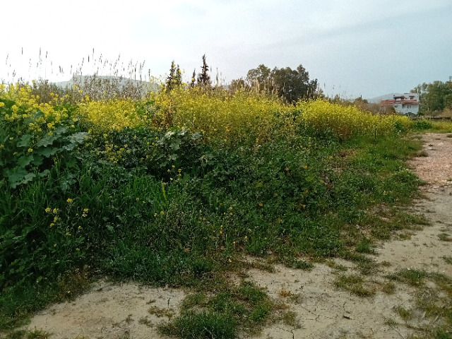 Οικόπεδο 702 τ.μ. Δικαστικοί Υπάλληλοι, Μαραθώνας