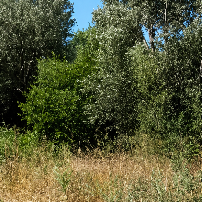 Οικόπεδο 718 τ.μ., Σχινιάς.Δικαστικοί υπάλληλοι, Μαραθώνας