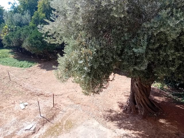Διαμέρισμα 56 τ.μ., Νέα Μάκρη 5η ΠΕ