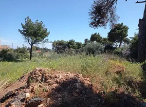 Οικόπεδο 900 τ.μ., Νέα Μάκρη, Μάτι
