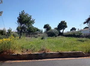 Οικόπεδο 900 τ.μ., Νέα Μάκρη, Μάτι