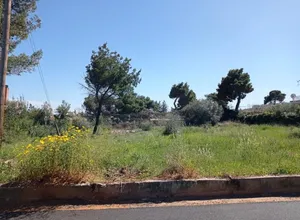 Οικόπεδο 900 τ.μ., Νέα Μάκρη, Μάτι