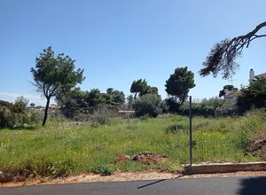 Οικόπεδο 900 τ.μ., Νέα Μάκρη, Μάτι