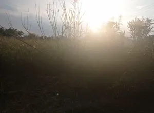 Οικοπεδο 702 τ.μ., Μαραθώνας, Δικαστικοί υπάλληλλοι