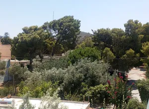 Μονοκατοικία 195 τ.μ., Αρτέμιδα
