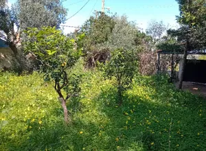 Μονοκατοικία 115 τ.μ., Νέα Μάκρη 1η ΠΕ