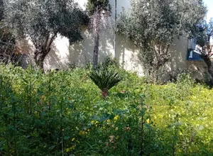 Μονοκατοικία 115 τ.μ., Νέα Μάκρη 1η ΠΕ