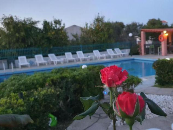 Ξενοδοχειακή μονάδα 450 τ.μ., Αίγινα