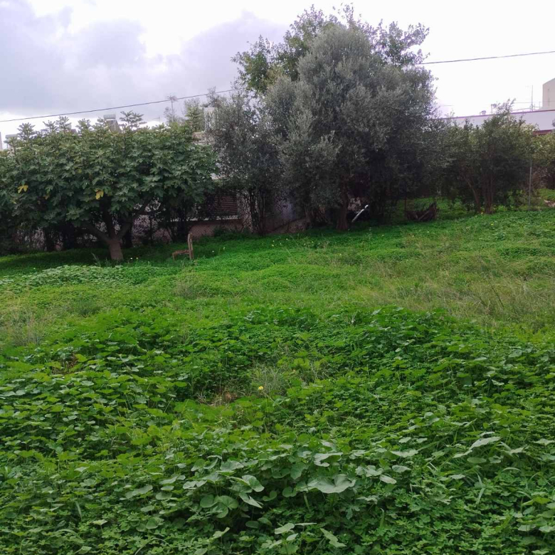 Οικόπεδο 500 τ.μ., Νέα Μάκρη 5η ΠΕ