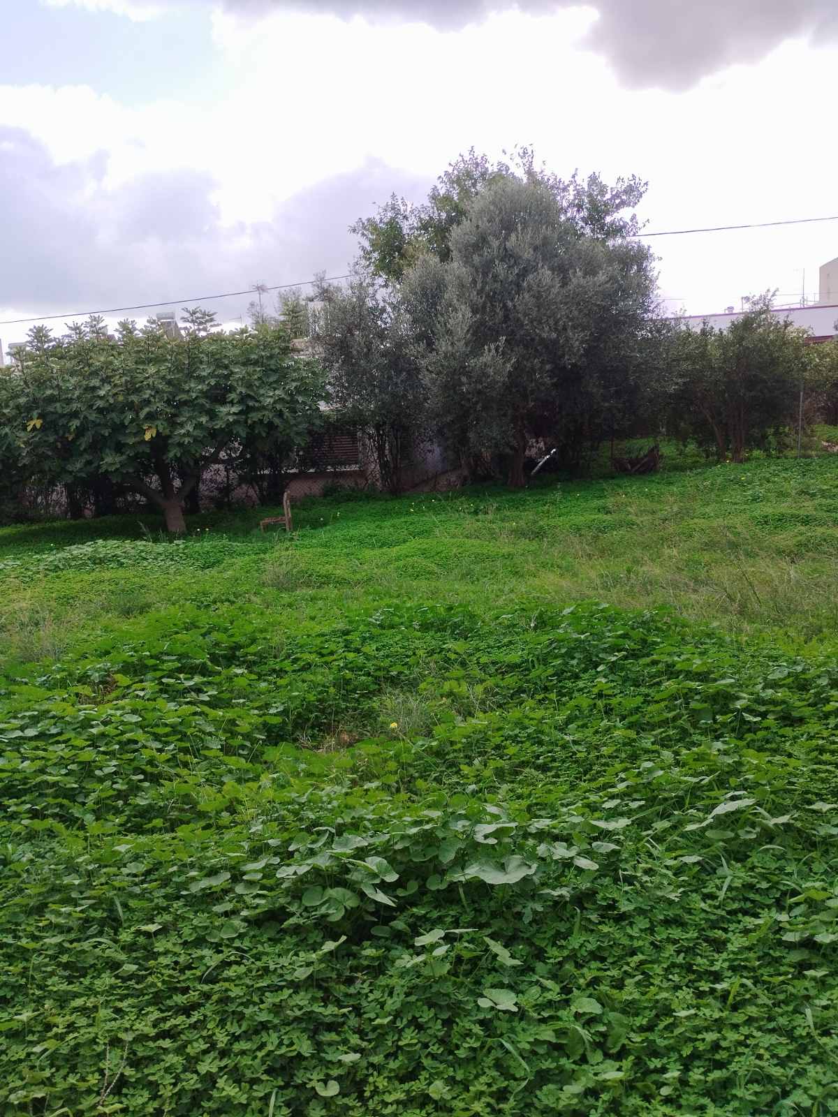 Οικόπεδο 500 τ.μ., Νέα Μάκρη 5η ΠΕ