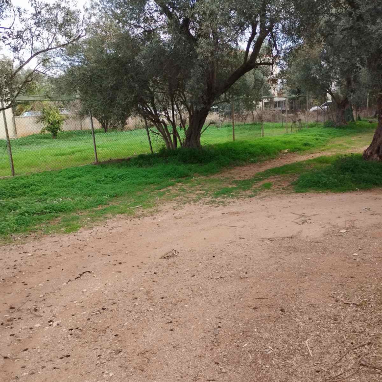 Οικόπεδο 500 τ.μ., Νέα Μάκρη 5η ΠΕ