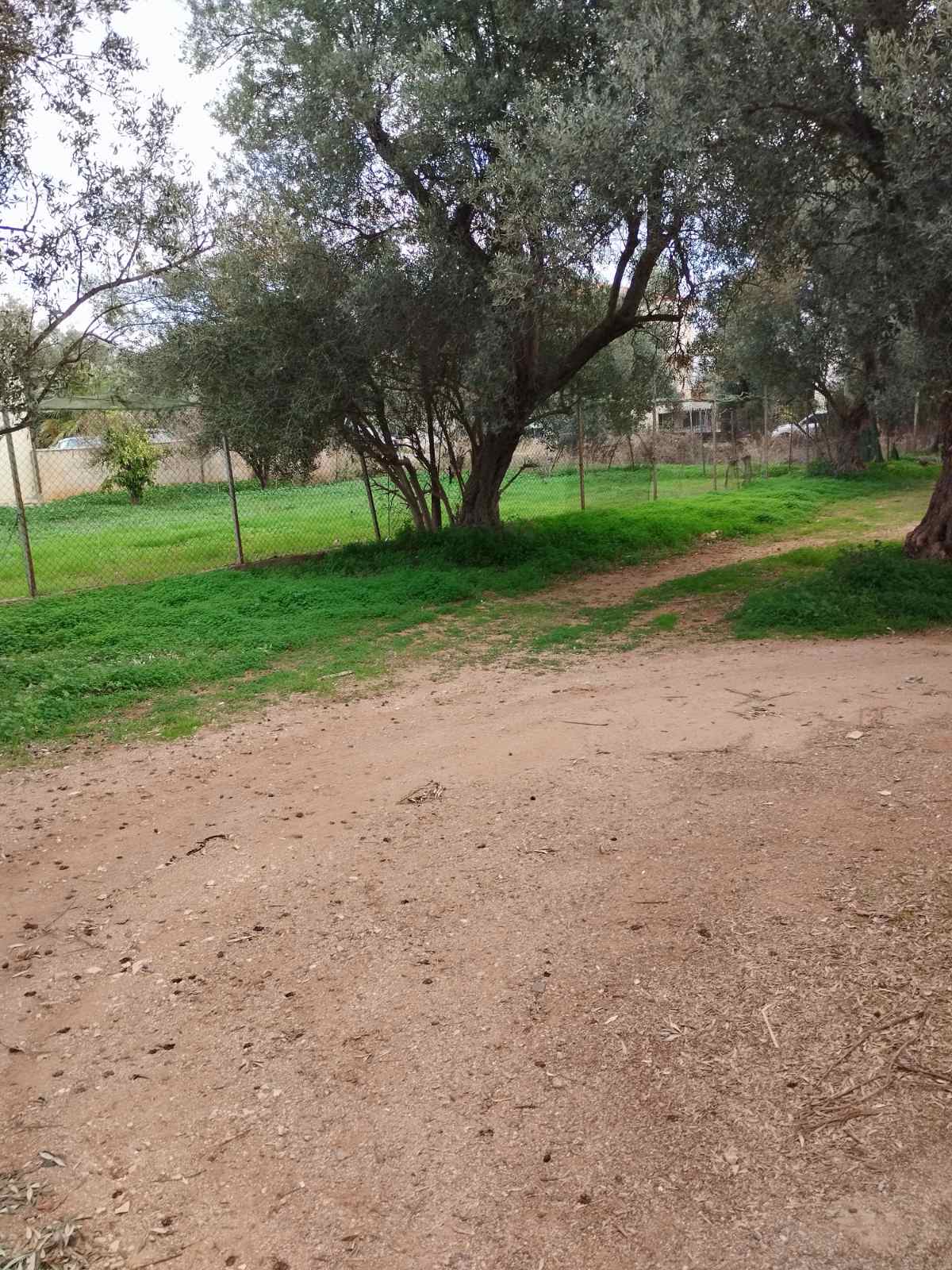 Οικόπεδο 500 τ.μ., Νέα Μάκρη 5η ΠΕ