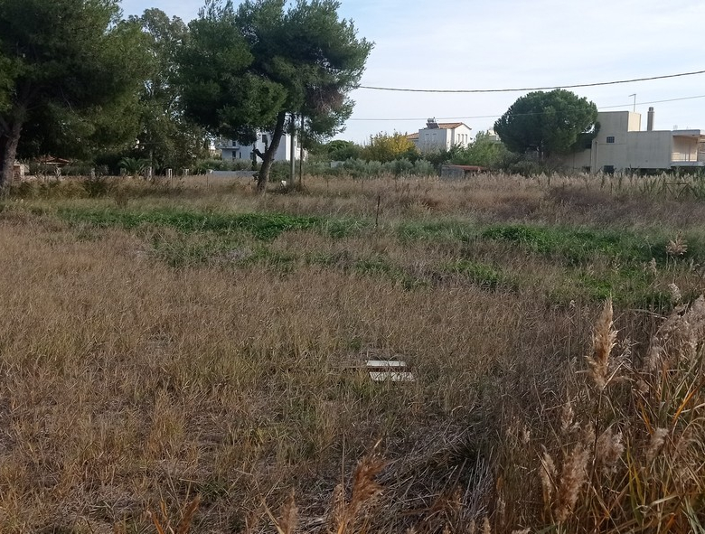 Οικόπεδο 780 τ.μ., Μαραθώνας, Δικαστικοί Υπάλληλοι