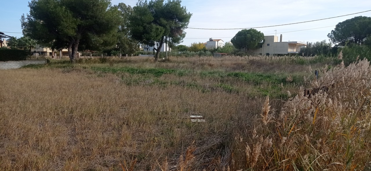 IMG_20221206_140110 Οικόπεδο 780 τ.μ., Μαραθώνας, Δικαστικοί Υπάλληλοι