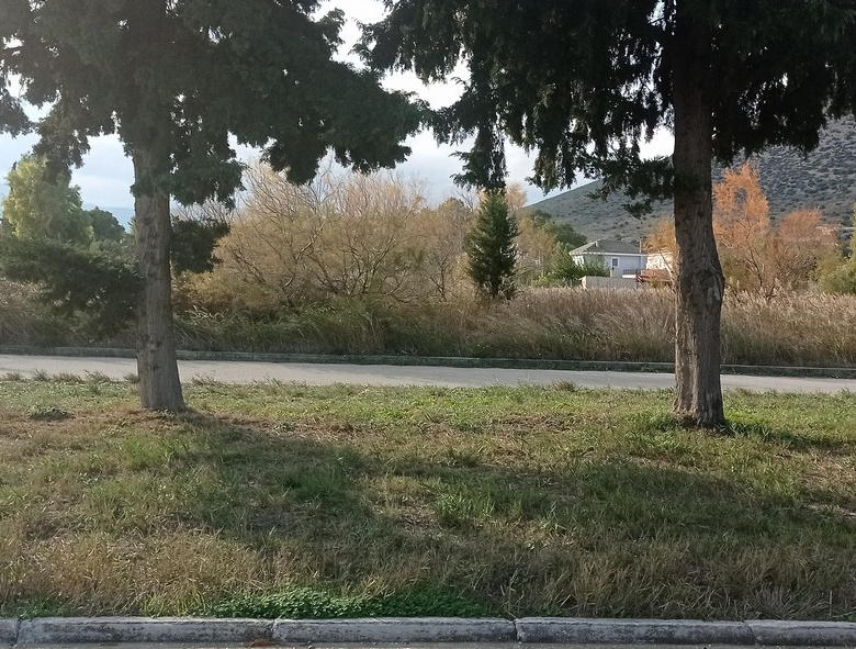 Οικόπεδο 780 τ.μ., Μαραθώνας, Δικαστικοί Υπάλληλοι